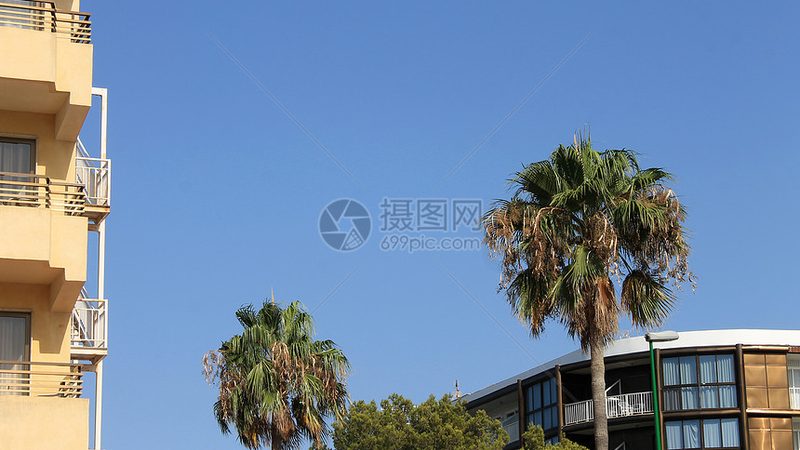 小标题：一、提升团队协作能力